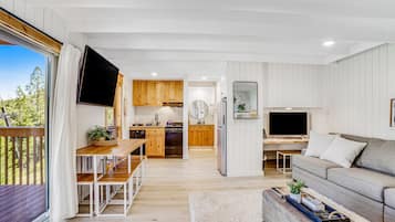 TV, fireplace, offices, computer monitors