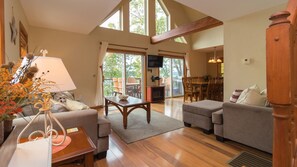 TV, fireplace, video games, DVD player