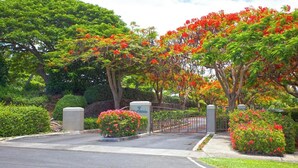 A gated entrance with a sign, surrounded by lush greenery and flowering trees.