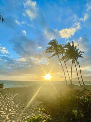 Een strand met palmbomen en de ondergaande zon.