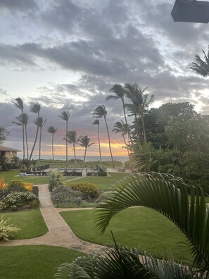 Een verzorgde tuin met een pad, palmbomen en uitzicht op de oceaan bij zonsondergang.