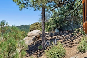 Explore the serene natural surroundings, featuring a dirt path and a large rock formation amidst a lush forest of pine trees.