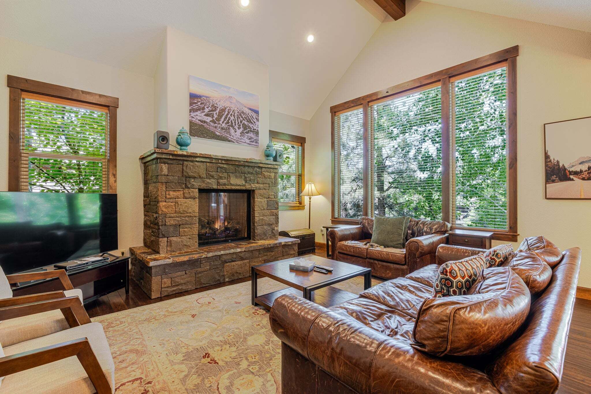 Flat-screen TV, fireplace, DVD player, books
