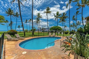 A swimming pool with lounge chairs and palm trees.