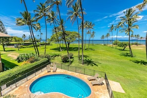 Piscina com borda curva, rodeada por um deck de pedra e um guarda-corpo de metal.