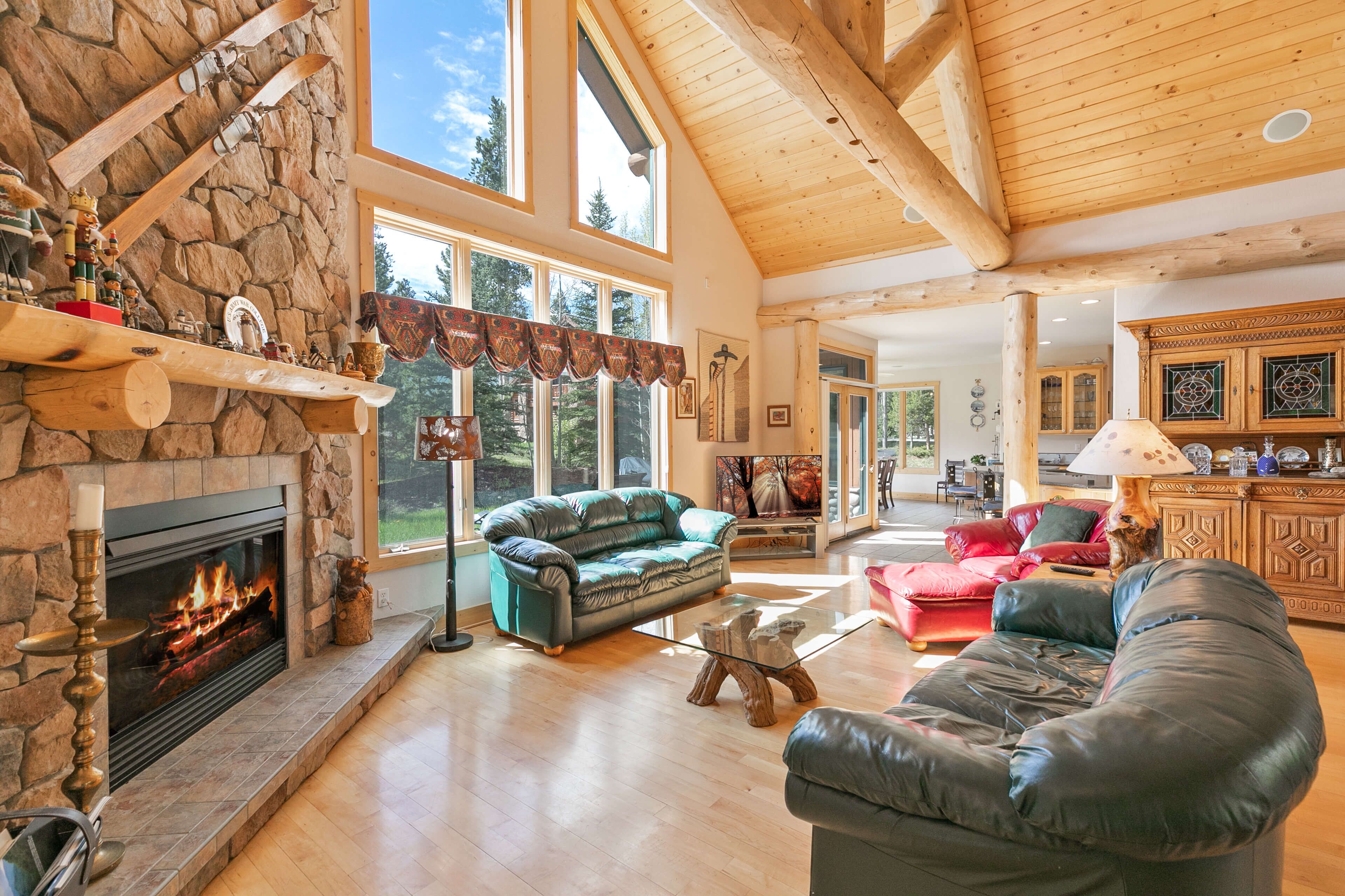 TV, fireplace, DVD player, books