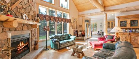 TV, fireplace, DVD player, books