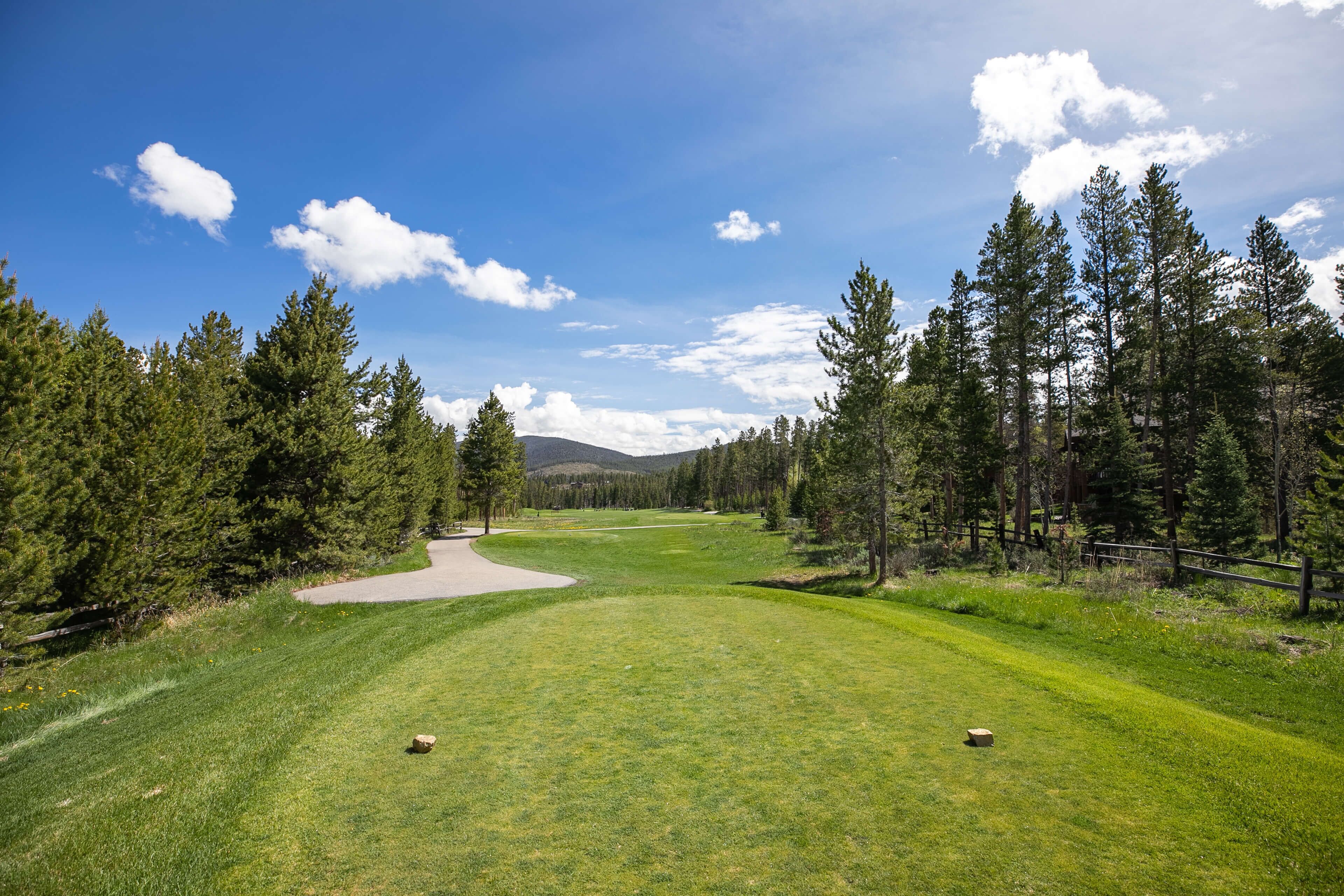 Un parcours de golf avec un ciel dégagé, de l’herbe verte et des arbres.