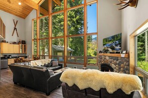 TV, fireplace, video games, DVD player