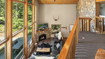 Télévision, cheminée, jeux vidéo, lecteur de DVD