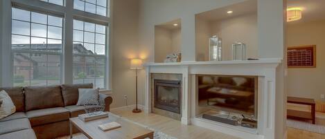 电视、壁炉、DVD 播放器