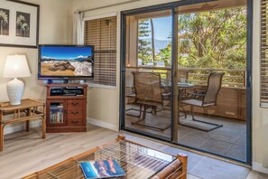 TV, DVD player, books - Kihei Bay Vista #A-103 Ocean View, Near Beach, A/C and Fans, Great Rates (Kihei)