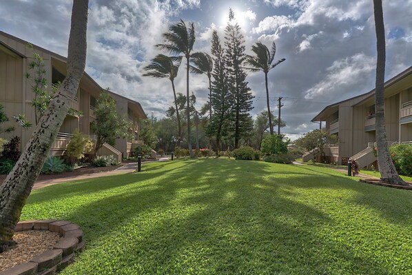 Un patio con palmeras, un césped bien cuidado y un edificio con balcones.