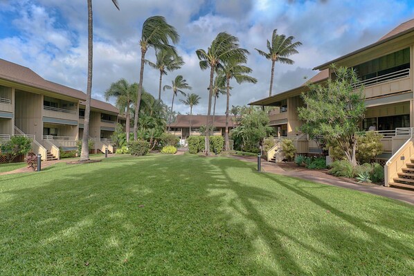 A hotel courtyard with palm trees, a well-maintained lawn, and a building with multiple balconies.