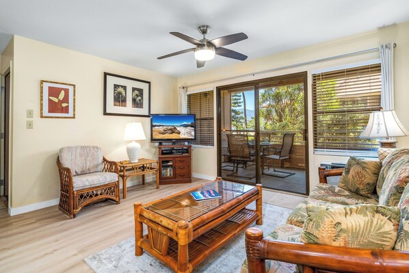 TV, DVD player, books