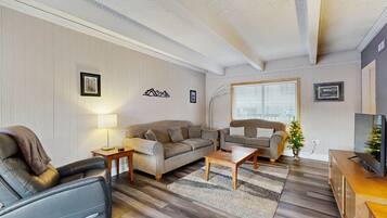 TV, fireplace, DVD player, books
