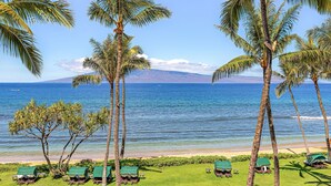 A beach view with palm trees, a clear sky, and a distant mountain.