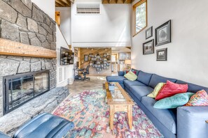 テレビ、暖炉、書庫、ビデオライブラリ