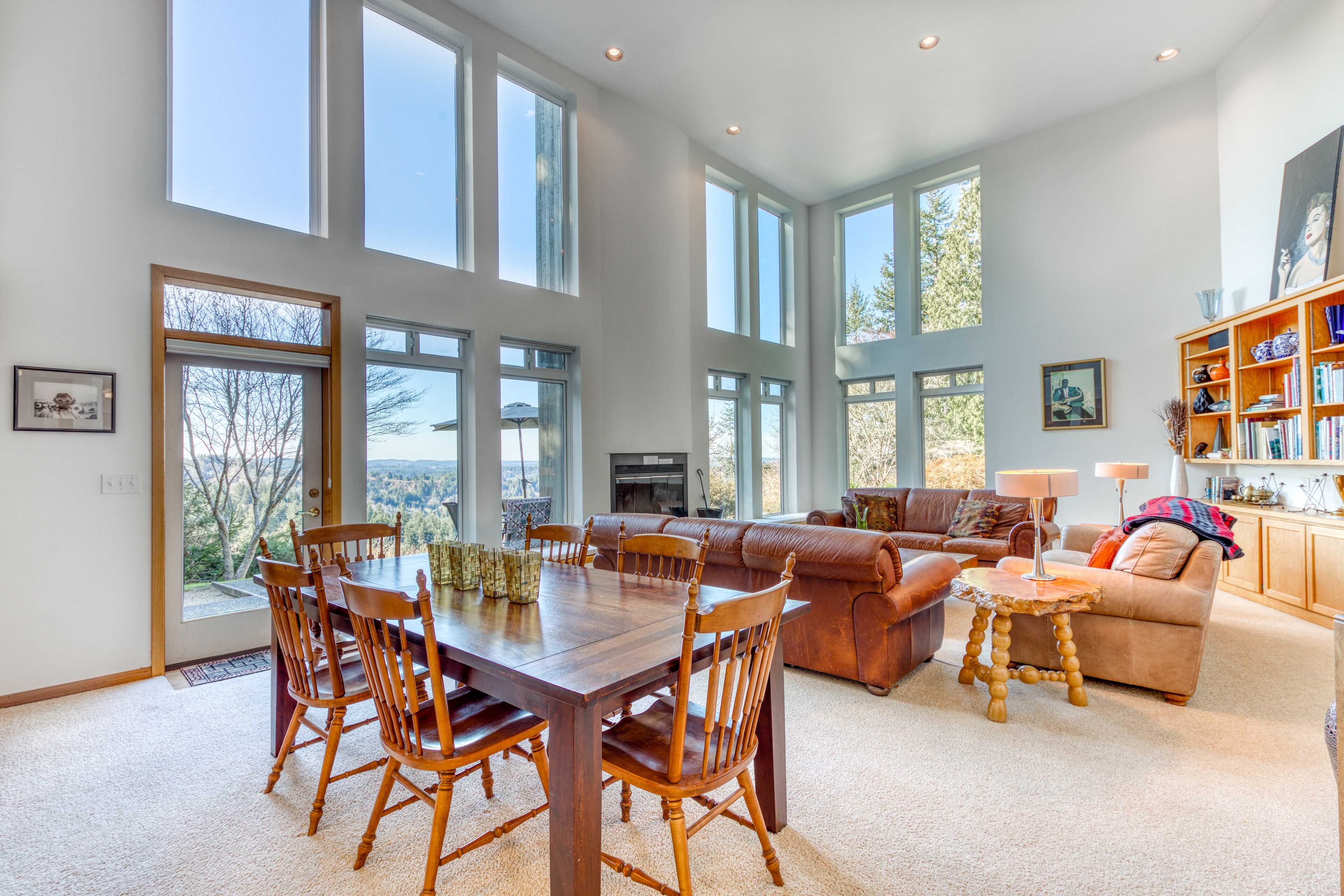 テレビ、暖炉、DVD プレーヤー、書庫