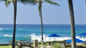 A beach view with palm trees, ocean waves, and a lounge area with blue umbrellas. - Aloha Condos, Kanaloa at Kona, Condo 2602, Oceanfront, AC (Kailua Kona)