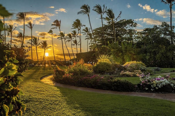 A garden pathway leading to a sunset view with palm trees and flowering plants.