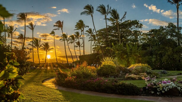 Un sendero en un jardín que lleva a una vista al atardecer, con palmeras y plantas en flor.