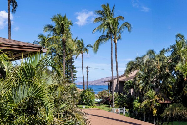 A residential area with tall palm trees, a clear blue sky, and a view of the ocean.
