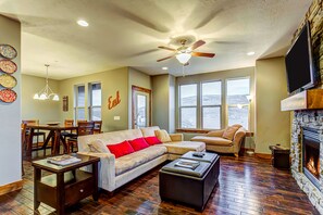 TV, fireplace, video games, video library