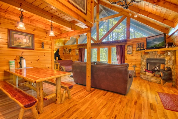 TV, fireplace, video games, DVD player