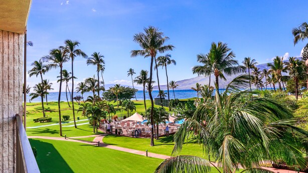 A resort with a well-maintained lawn, palm trees, and a view of the ocean.