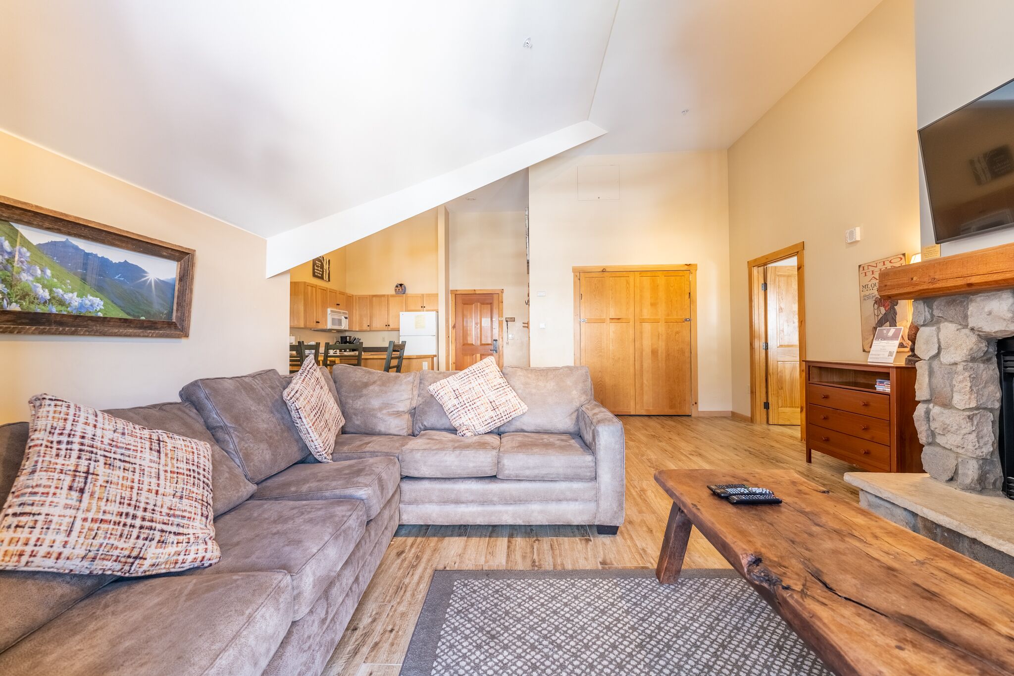 TV, lareira, DVD player