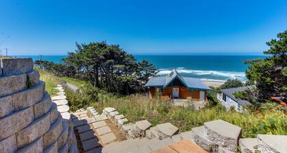 Dog-Friendly Studio Condo with Ocean Views, WiFi, Close to Everything