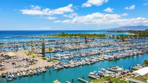 A marina with numerous boats docked, a clear blue sky, and a distant view of a coastline.