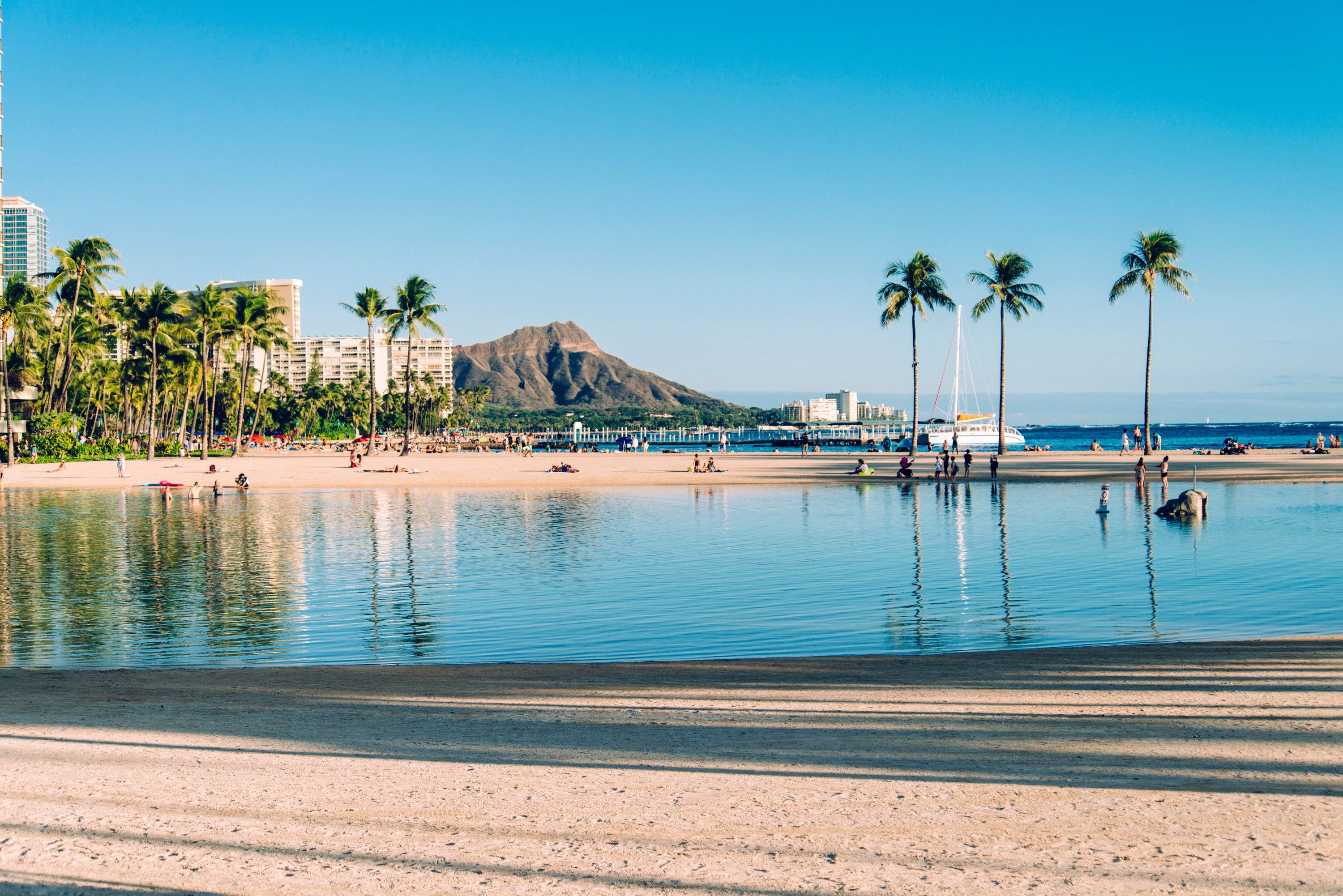 A beach with palm trees, a calm sea, and a mountain in the background.
