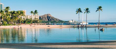 A beach with palm trees, a calm sea, and a mountain in the background.