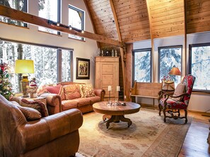 Smart TV, chimenea, reproductor de DVD y libros