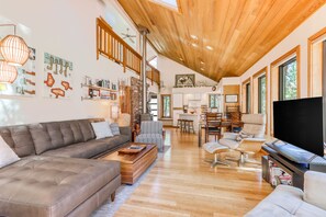 Televisión, chimenea, libros