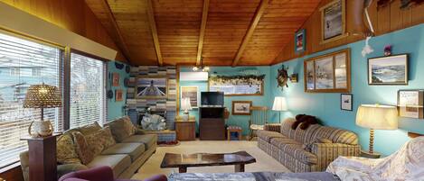 TV, fireplace, DVD player, books