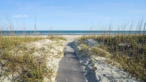A sandy beach path leading to the ocean, surrounded by grass.