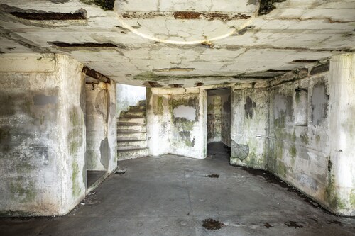 Charming Craftsman near park & Gearhart - dog-friendly