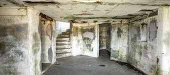 Craftsman encantador para perros con estufa de leña; cerca del parque y Gearhart!