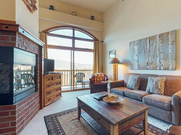 Een televisie, een open haard, een dvd-speler en boeken