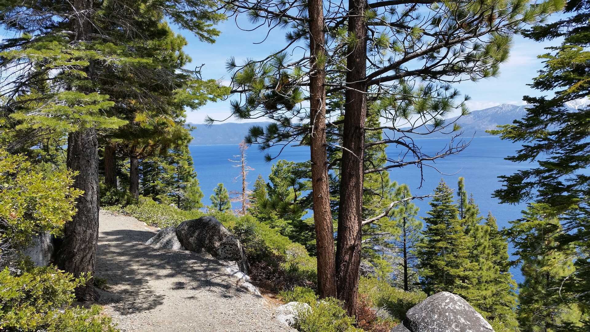 Sendero boscoso para caminatas con una vista despejada de un lago y montañas a lo lejos.