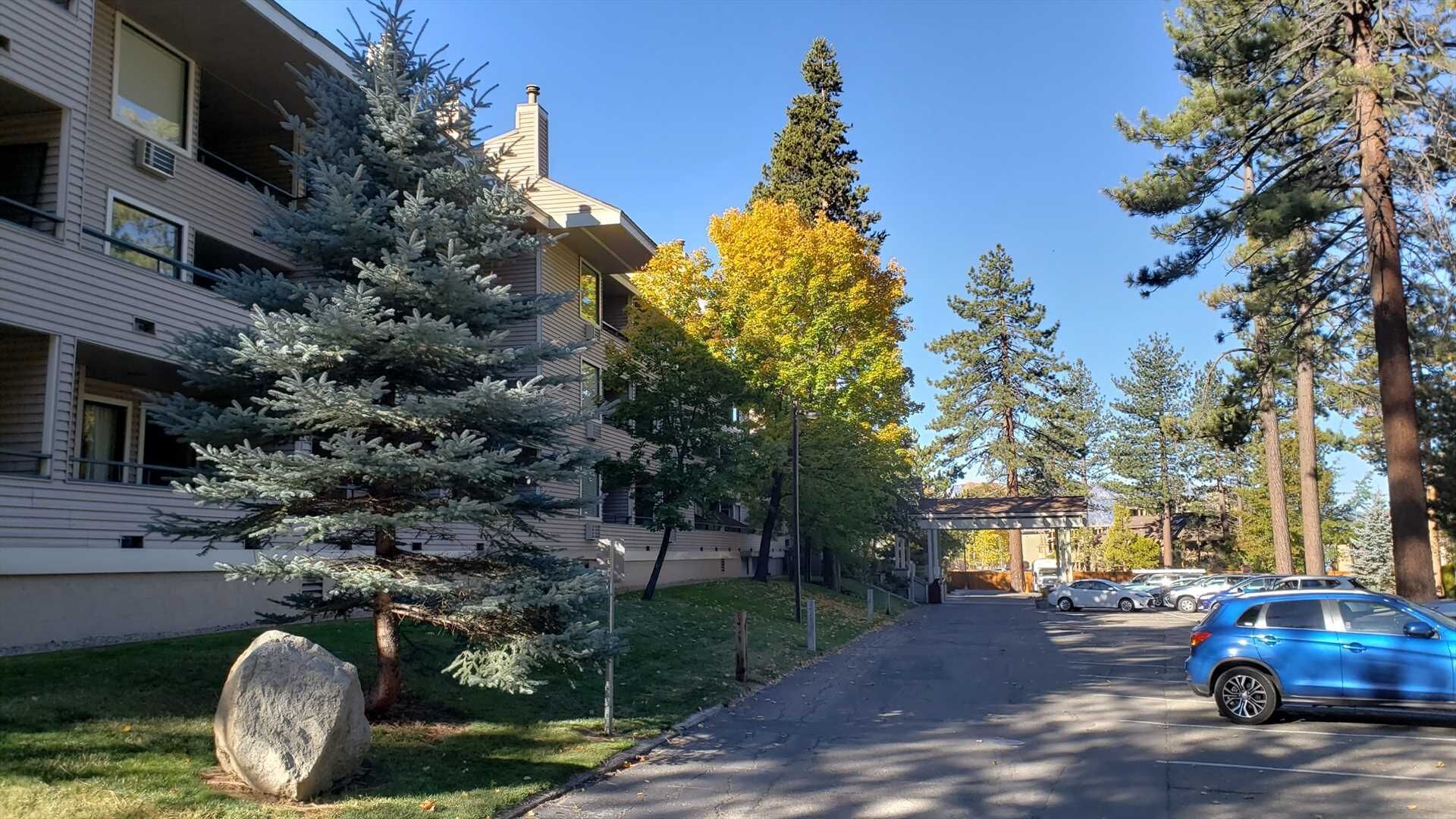 A residential street with a two-story building, parked cars, and evergreen trees.