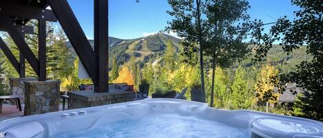 Baignoire à remous extérieure