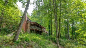 A cabin surrounded by dense forest.