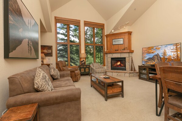 TV, fireplace, video games, DVD player