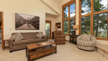 TV, fireplace, video games, DVD player