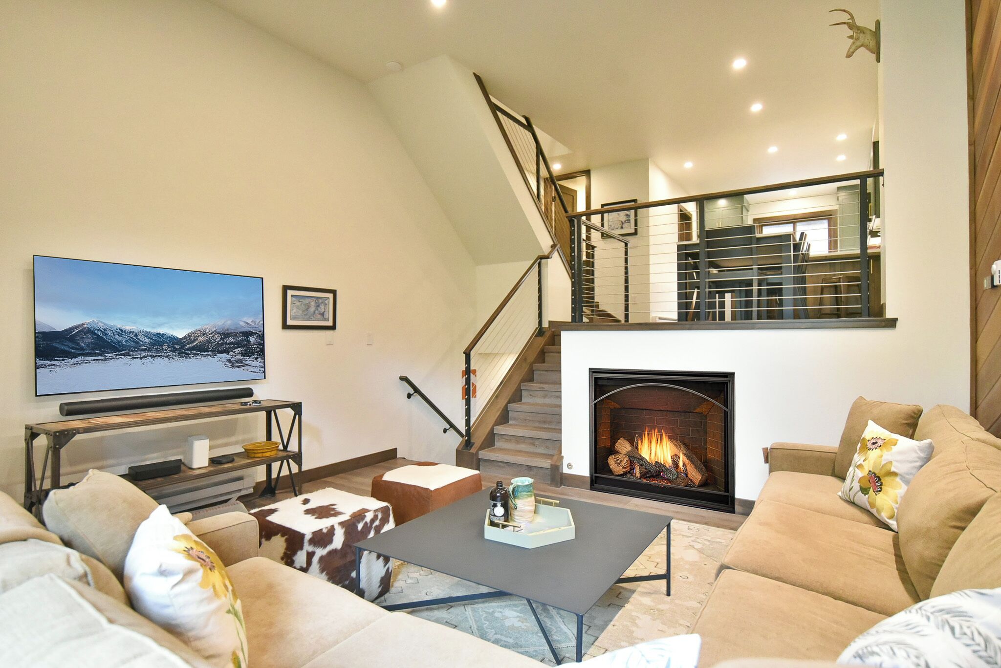 TV, fireplace, DVD player, books