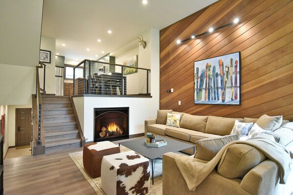 TV, fireplace, DVD player, books